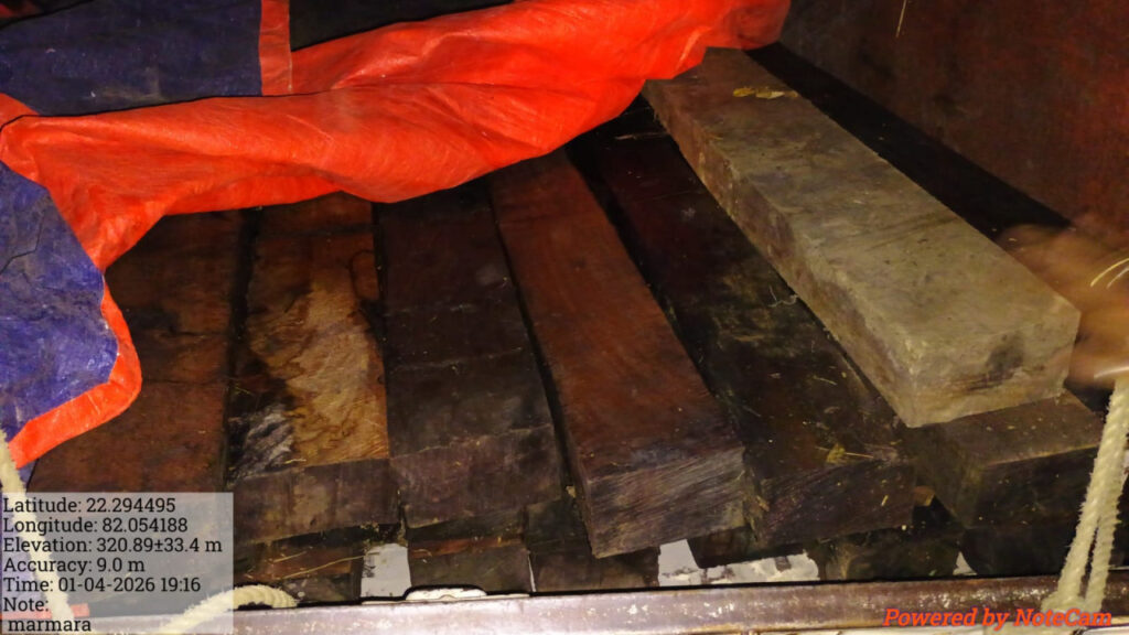 Big Action against illegal