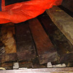 Big Action against illegal