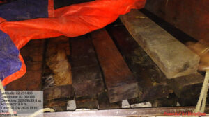 Big Action against illegal